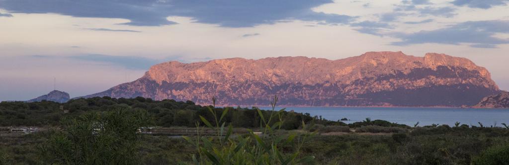 Bados Mare Leilighet Olbia Eksteriør bilde